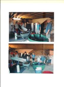 Crushing2014Pinot 001